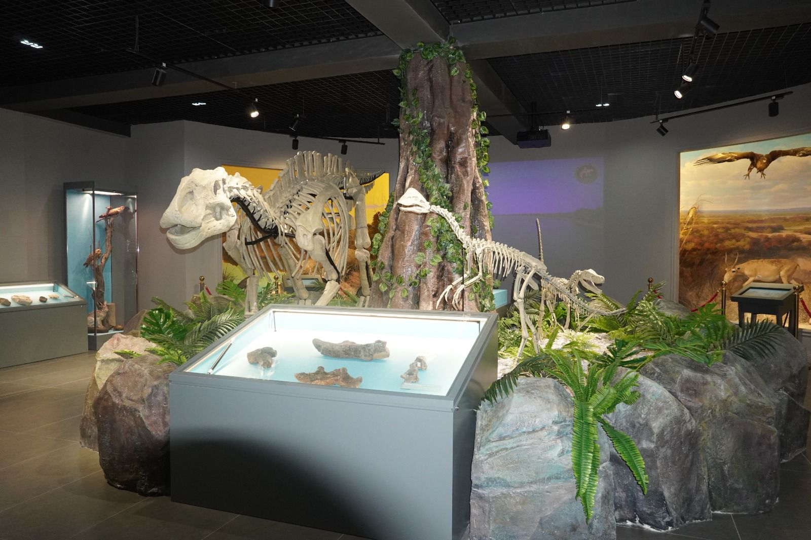 You are currently viewing «ТАБИҒАТ ЖӘНЕ ПАЛЕОНТОЛОГИЯ» ЗАЛЫ:        