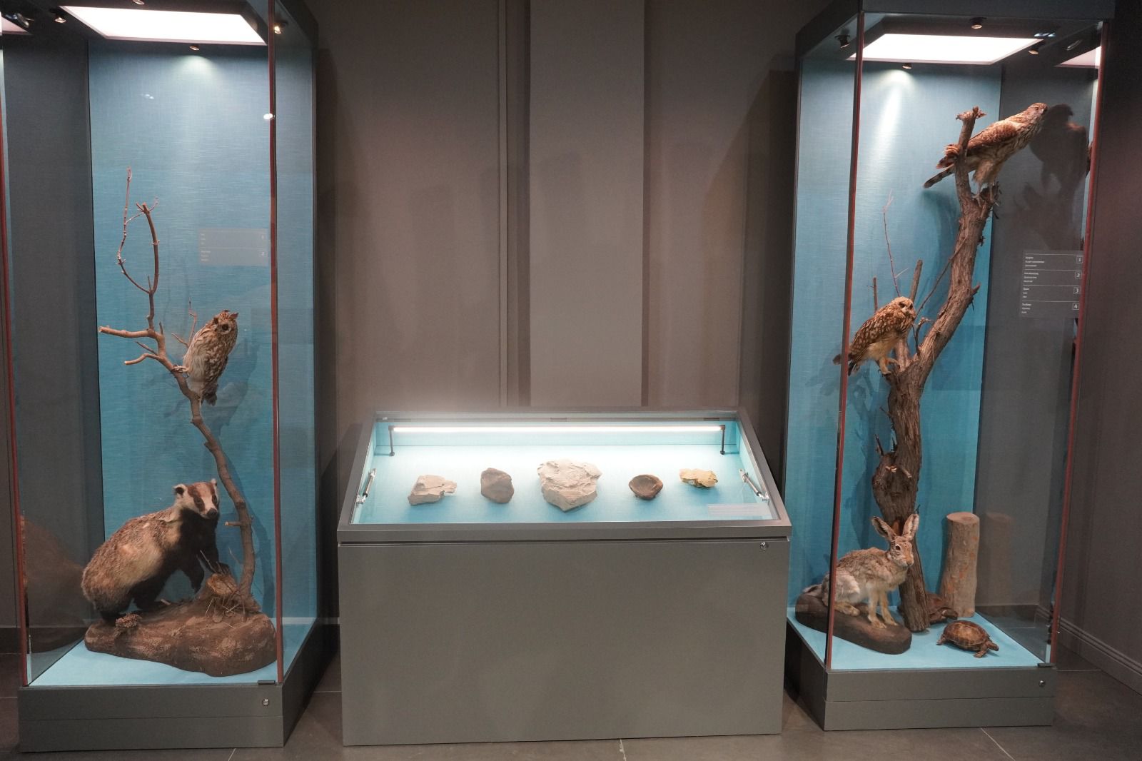 You are currently viewing «АРХЕОЛОГИЯ ЖӘНЕ СӘУЛЕТ ӨНЕРІ ЕСКЕРТКІШТЕРІ» залы