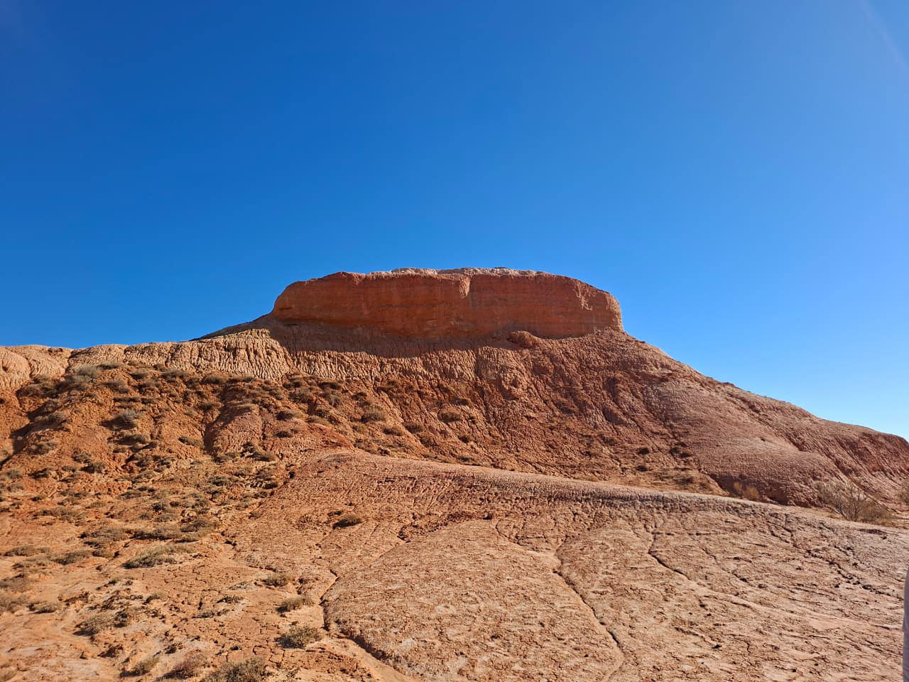 Подробнее о статье ЭКСПЕДИЦИЯ «ШАХ-ШАХ»